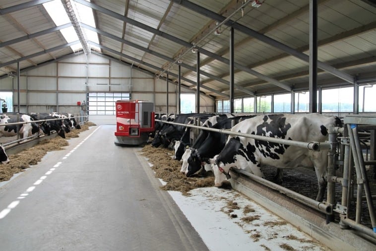 rolnictwo, portal rolny, ASF, produkcja mleka, Credit Agricole, ceny skupu mleka, mleko