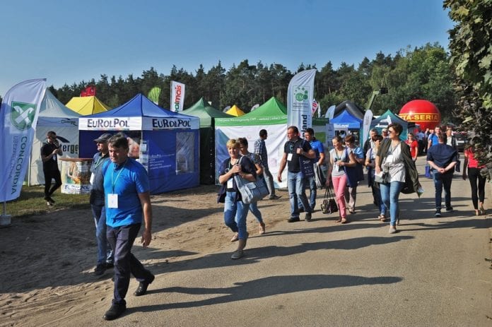 Narodowy Dzień Mlecznej Fermy, bydło mleczne, mleko, produkcja mleka, kiszonak z kukurydzy, wozy paszowe, 