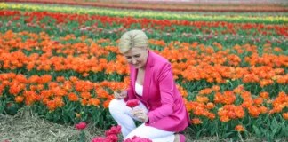Nowa odmiana tulipana nazwana na cześć małżonki prezydenta