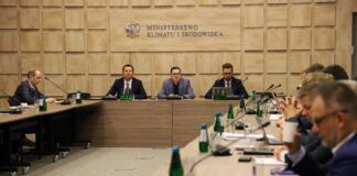 Polska jest jednym z liderów rozwoju fotowoltaiki w Europie