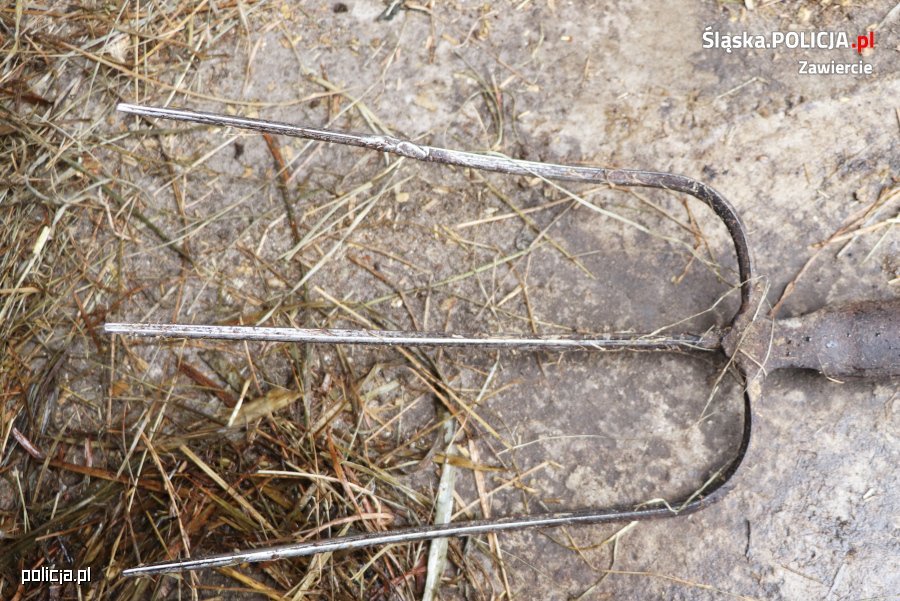 Uśmiercił dwa psy. Jednego z nich zaatakował widłami