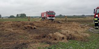 Byli źli na rolnika i spalili mu baloty słomy. Straty to blisko 40 tysięcy złotych