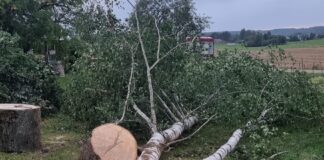 Pijany traktorzysta uszkodził hydrant i drogę gruntową