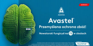 Avastel – przemyślana ochrona zbóż!