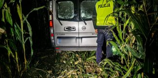 Ucieczka przed policjantami zakończona w kukurydzy