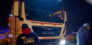Nie ma podstaw do blokowania transportu świń z Niemiec