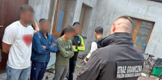 Nielegalna praca przy zbiorze owoców. Pośrednik ukarany grzywną 15 tys. zł