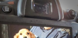 MORUS W ŚMIERTELNEJ PUŁAPCE. Z POMOCĄ MIESZKANCE WSI PRZYSZLI POLICJANCI