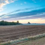 Ponad 11,5 mld zł w zaliczkach już na kontach rolników