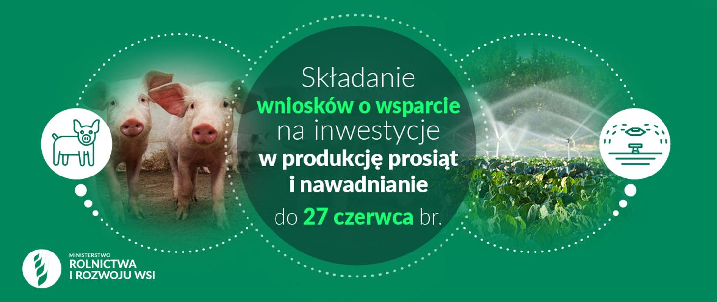 Nawadnianie i produkcja prosiąt – więcej czasu na złożenie wniosków w dwóch obszarach jednocześnie