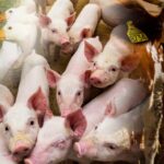 Zarządzanie ryzykiem – nabór wniosków tylko do 31 października