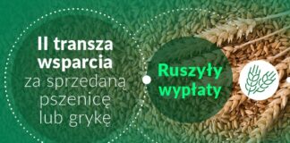 Ruszyła wypłata wsparcia dla rolników, którzy sprzedali pszenicę lub grykę po 14 kwietnia
