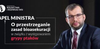 Minister apeluje o przestrzeganie zasad bioasekuracji w związku z grypą ptaków