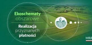 Płatności w ramach ekoschematów obszarowych