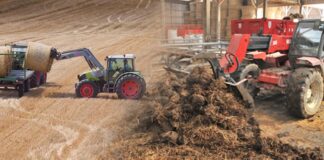 24 listopada – ostatni dzień dwóch naborów