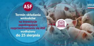 Wydłużenie terminu przyjmowania wniosków przez ARiMR na inwestycje zapobiegające rozprzestrzenianiu się ASF