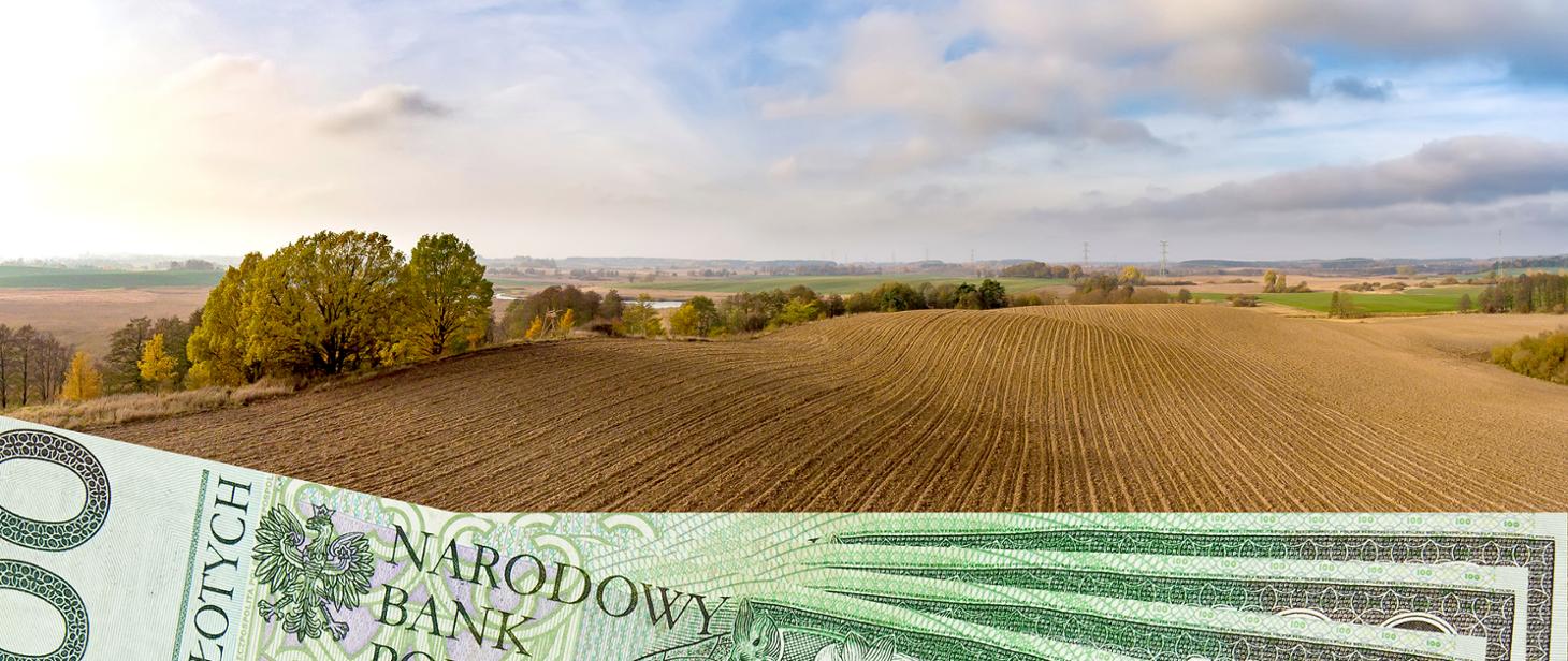 Dopłaty bezpośrednie i obszarowe z PROW za 2022 rok – ponad 17,45 mld zł przekazane rolnikom