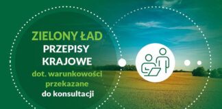 Zielony Ład: konsultacje publiczne przepisów krajowych dotyczących warunkowości