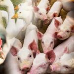 „Zarządzanie ryzykiem” – kolejny nabór wniosków wystartował