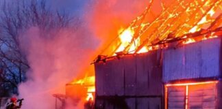 Ogromny pożar stodoły. Strażacy ratowali zwierzęta