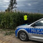 Śruby i pręty w kukurydzy. Policja używa dronów, by chronić kombajny
