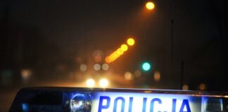 Pijany, na zakazie przewoził kradzione drewno