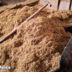 Zamiast obory – linia produkcyjna. Nielegalna wytwórnia rozbita na wsi