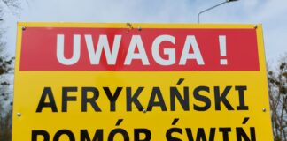 ASF: ułatwienia w przemieszczaniu świń z gospodarstw