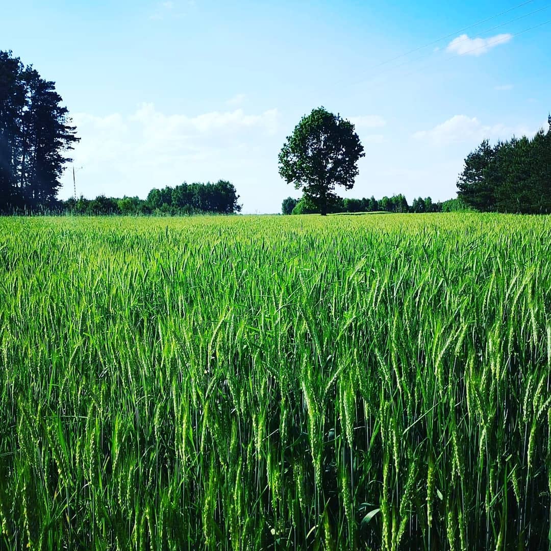 UE przyspiesza tempo walki ze zmianami klimatycznymi - Nowy pakiet Fit for 55