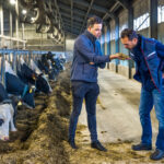Inokulanty jako wsparcie procesów fermentacji i poprawy wartości pokarmowej kiszonek