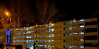 Dwa transporty zwierząt z dużymi nieprawidłowościami. Posypały się kary!