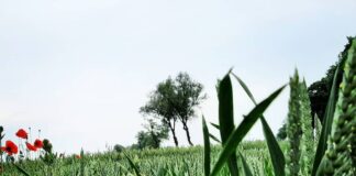 UE przyspiesza tempo walki ze zmianami klimatycznymi – Nowy pakiet Fit for 55