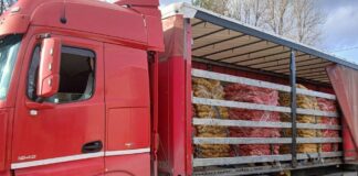 Nielegalny transport ziemniaków zatrzymany. Szokujące braki w dokumentacji