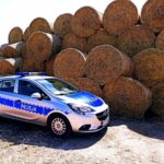 Za pomocą wiadra, pod osłoną nocy wyniósł 8 ton pszenicy