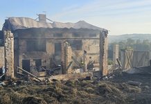 W jedną nocy stracili dorobek życia. Spłonęła obora, zginęło 30 krów
