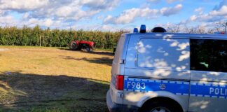 Tragedia na polu. Ursus zmiażdżył mężczyznę