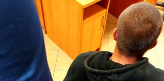 Areszt za kradzież i znęcanie się nad koniem ze szczególnym okrucieństwem