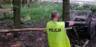 Woźnica zginął pod kołami swojego wozu