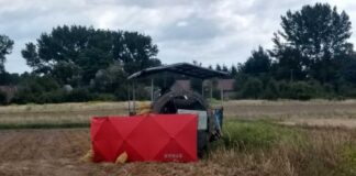 Śmiertelny wypadek przy wykopkach ziemniaków