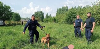 Ostrzegawczy strzał i paralizator. Bezwzględna interwencja policji po zaatakowaniu psa widłami