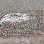 Potężne znalezisko na polu. Ponad 700 sztuk amunicji i granatów leżało tuż obok zabudowań