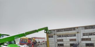 Ciężarówka ze świniami w rowie