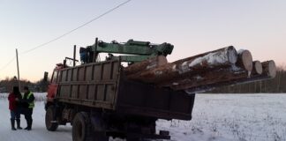 Rolnik ukarany za niewłaściwy transport drewna