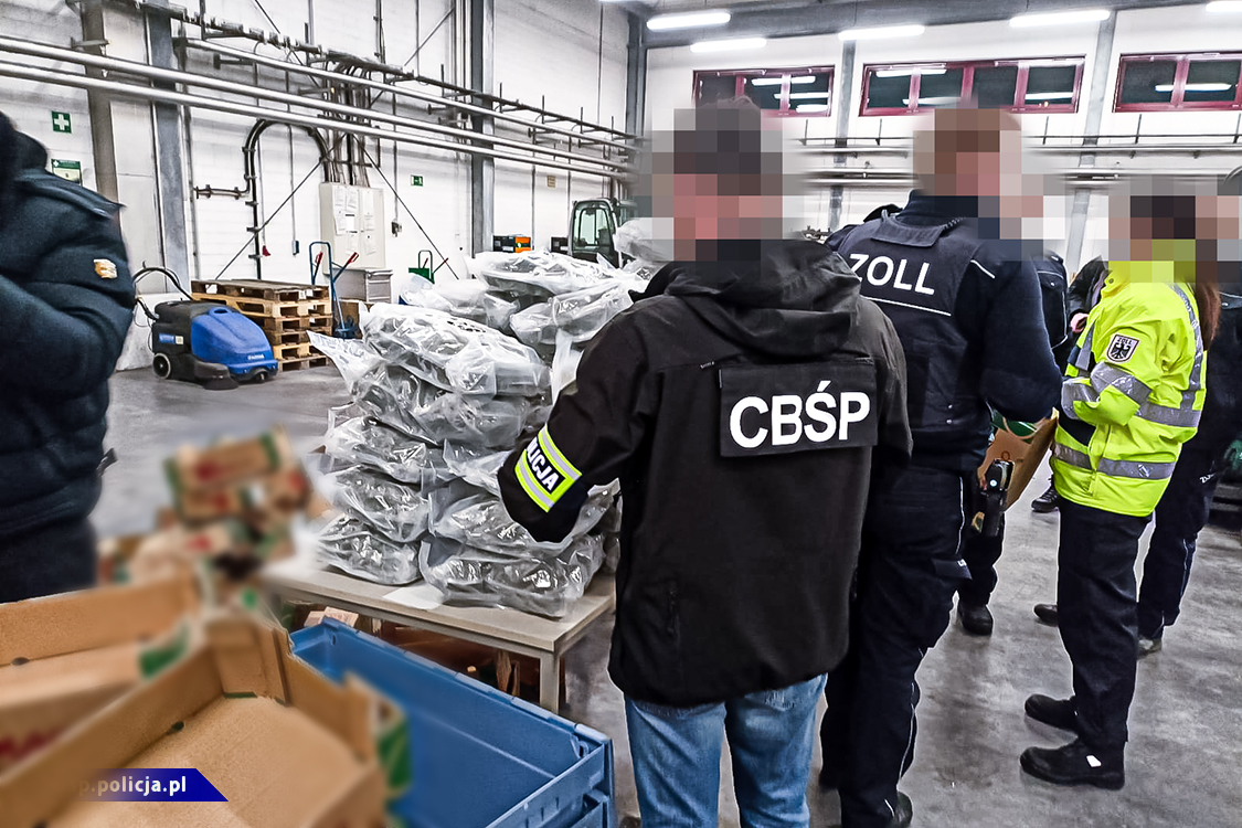 Narkotyki przemycane z Hiszpanii ukryte w pomidorach