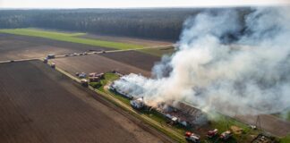 17 tysięcy kurcząt spaliło się żywcem! Ogromny pożar na fermie drobiu