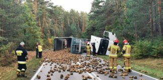 Buraki cukrowe całkowicie zablokowały drogę!