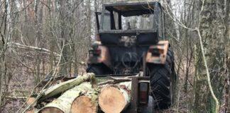 Wycinał drzewa jak swoje. Właściciel lasu ujął złodzieja na gorącym uczynku