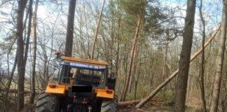 Tragiczny wypadek podczas wycinki. Mężczyzna nie żyje!