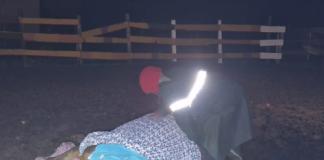 Policjanci sprawdzają czy doszło do zaniedbań w stosunku do zwierząt