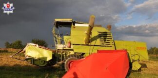Śmierć podczas żniw: Stracił równowagę i wpadł pod kombajn
